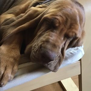 Meet your Posher, Neil